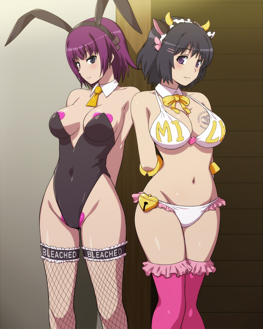 Hitagi Senjougahara and Hanekawa Tsubasa in Sexy Bunny Costumes 